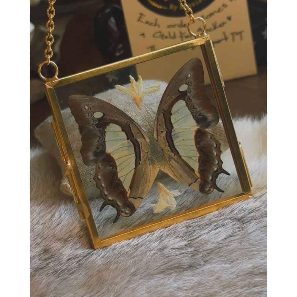 Framed Polyura Arja Butterfly. Handcrafted item ♡